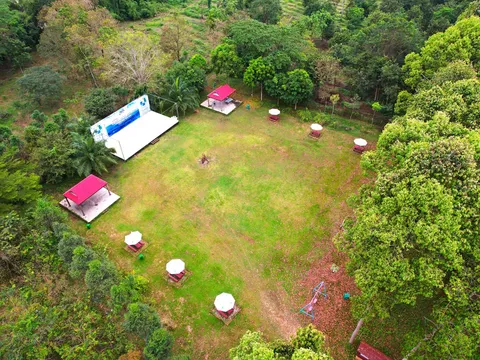 Gợi ý 7 trải nghiệm không thể bỏ lỡ ở Vườn quốc gia Cát Tiên