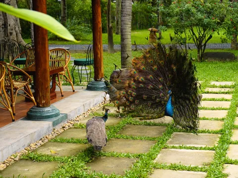 Furama Đà Nẵng lọt top 100 điểm chạm Đà Nẵng