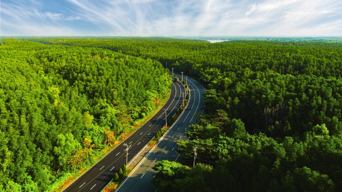 Ngày thơ Việt Nam lần thứ 24: Tọa đàm “Phẩm giá của thơ ca”