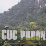 Lạc vào mùa bướm ở Vườn Quốc gia Cúc Phương