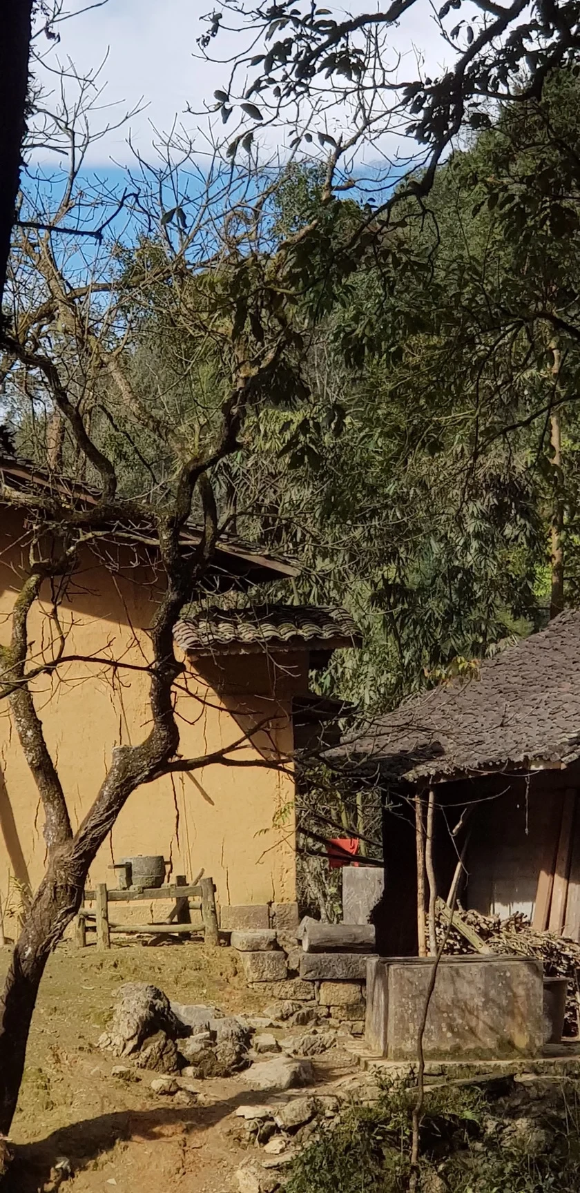 20190104-111944-original-1651-1778040078 20190104-111944-original-1651-1778040078.webp