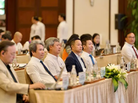Hành trình Quế Trà My: Từ sản vật đại ngàn đến khát vọng phát triển bền vững