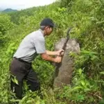 Quảng Trị: Tiềm năng phát triển du lịch của di tích lũy Nhật Lệ
