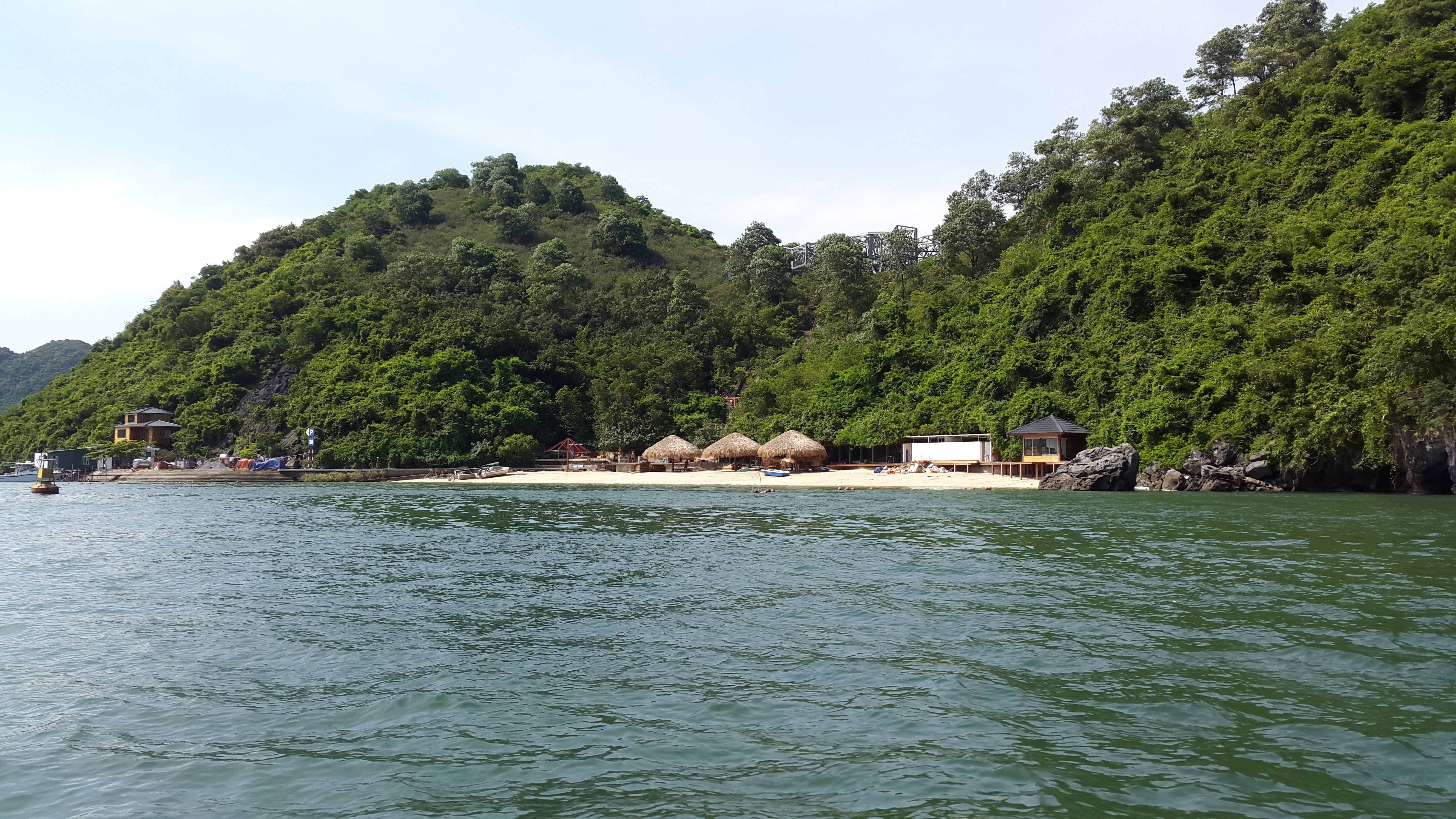 dao-soi-sim-1781509255 dao-soi-sim-1781509255.jpg
