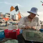 Vì sao Eo Gió – Nhơn Lý đang trở thành biểu tượng của Quy Nhơn?