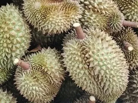Ngân hàng Nhà Nước mở gói tín dụng ưu đãi cho doanh nghiệp