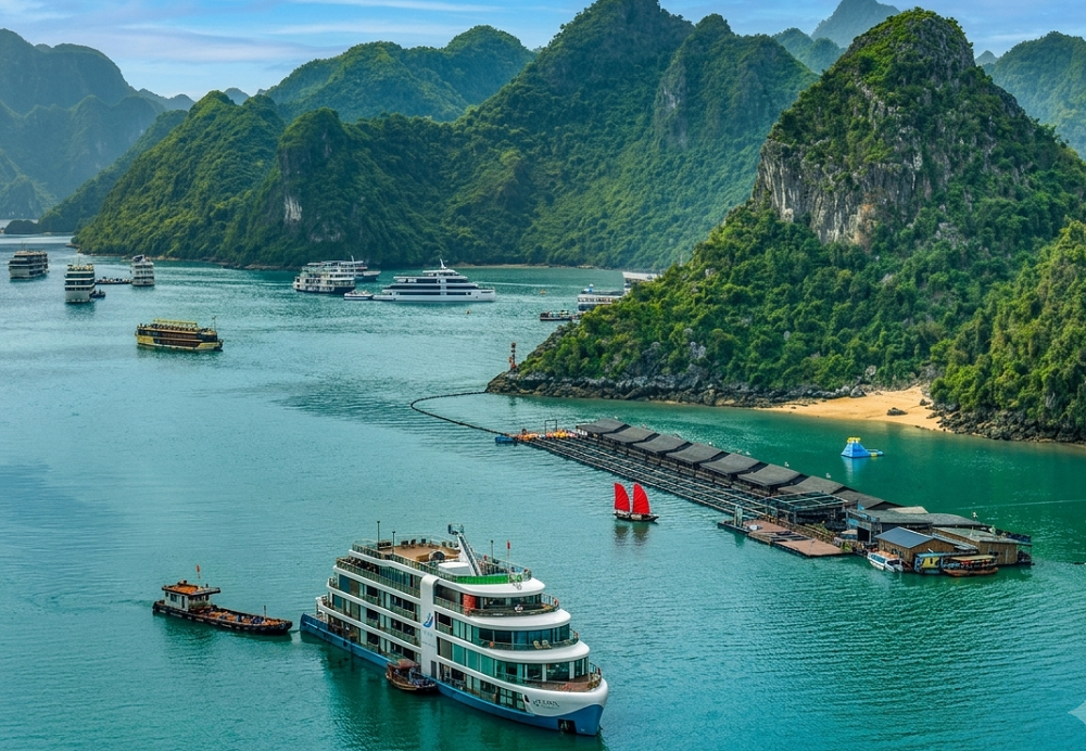 vinh-lan-ha-2-1787146855 vinh-lan-ha-2-1787146855.png