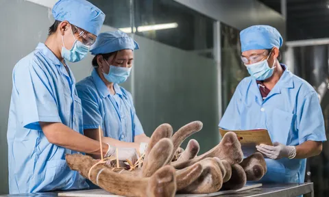 Nhung Việt – Giá trị từ cam kết