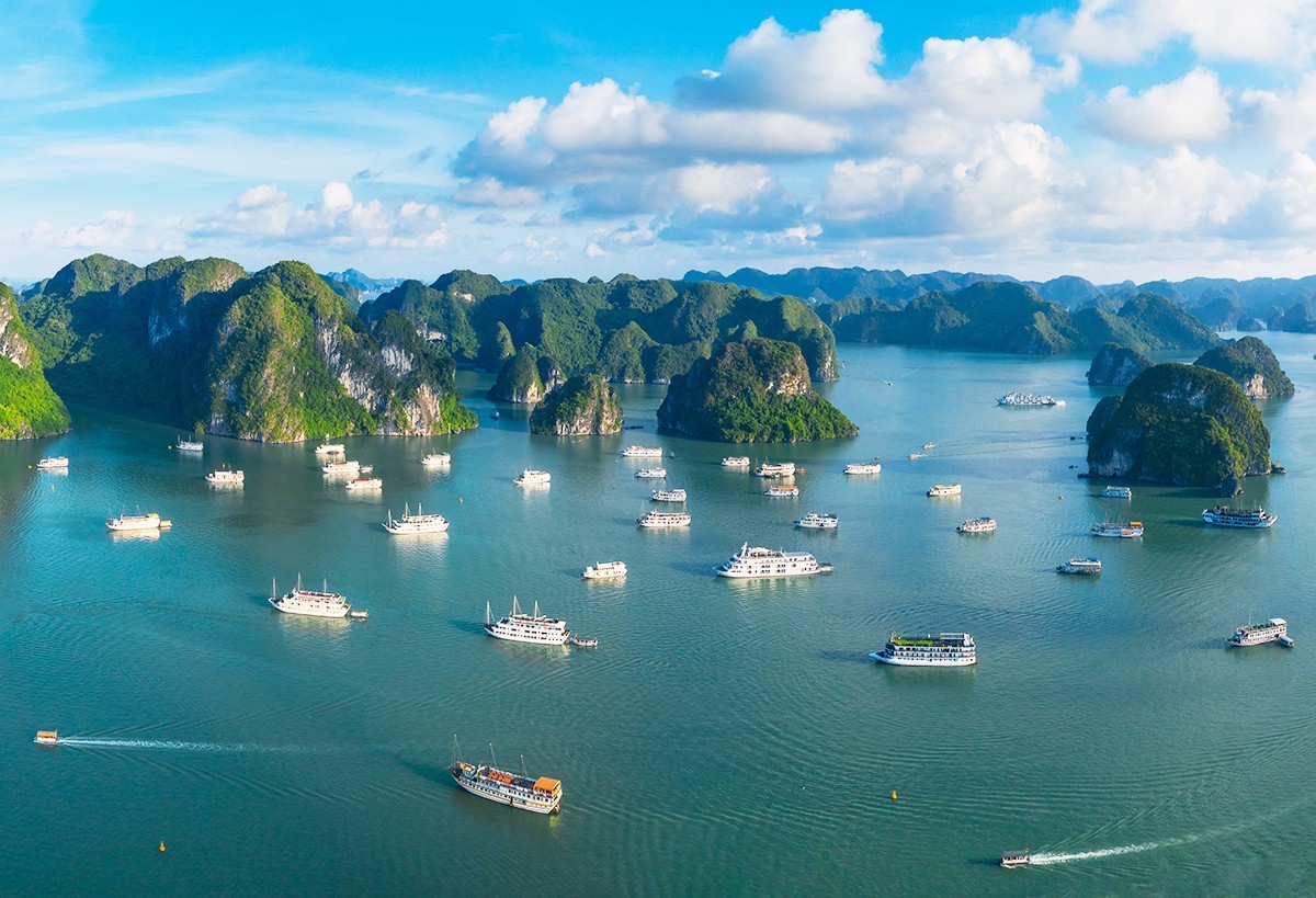 vinhhalong-1716519641-1790782955 vinhhalong-1716519641-1790782955.jpg